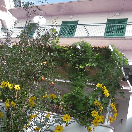 Apartman Sulic Подгора Екстериор снимка